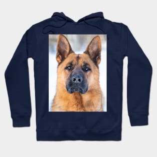 Parcour!  German Shepherd Dog Hoodie